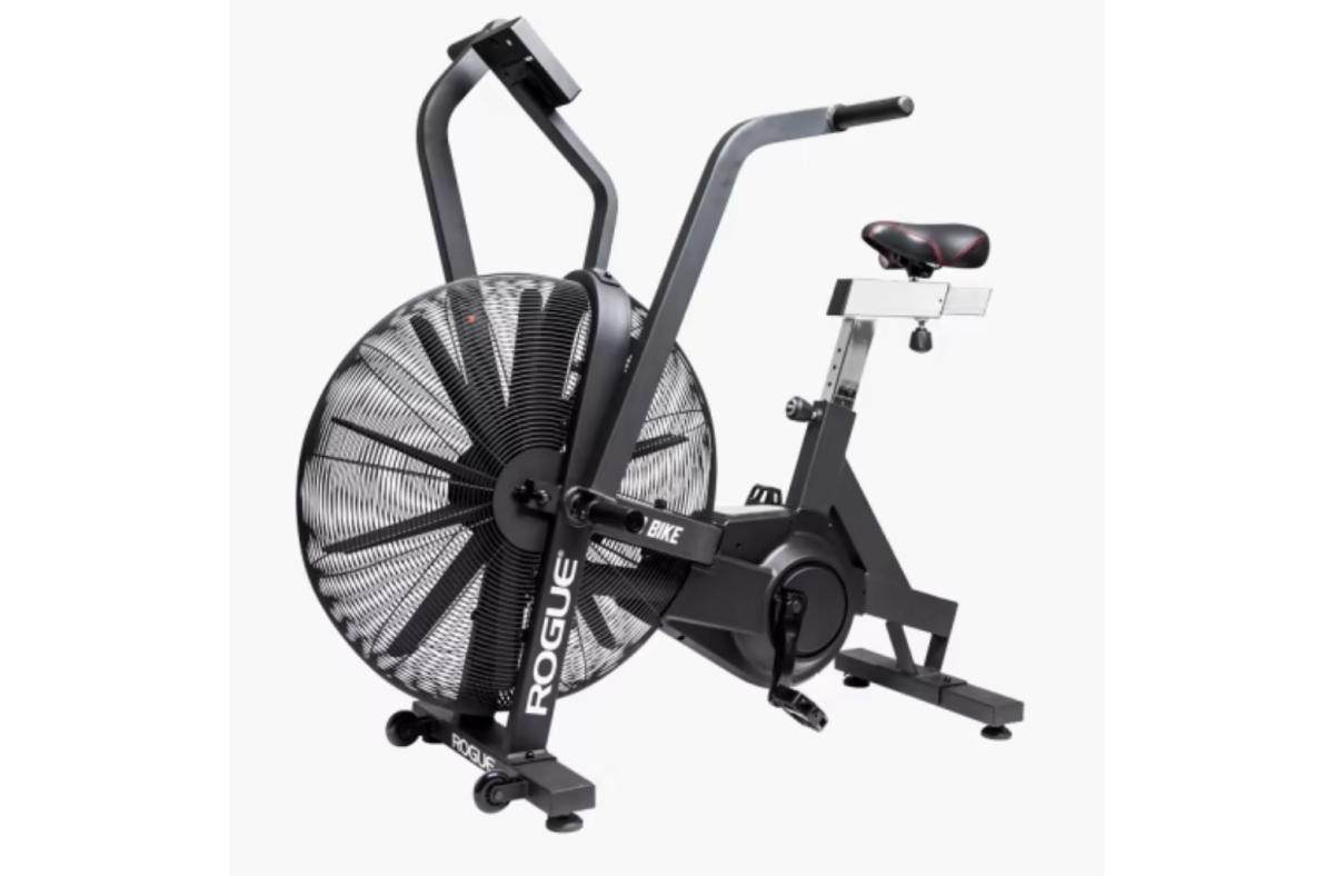 Rogue Echo Bike